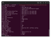 Screenshot From 2025-08-10 11-20-03.png